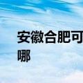 安徽合肥可提供SKG咖啡机维修服务地址在哪