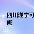 四川遂宁可提供SKG咖啡机维修服务地址在哪