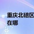 重庆北碚区可提供SKG咖啡机维修服务地址在哪