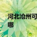 河北沧州可提供SKG咖啡机维修服务地址在哪