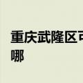 重庆武隆区可提供东菱电烤箱维修服务地址在哪
