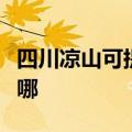 四川凉山可提供格兰仕电烤箱维修服务地址在哪