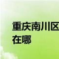 重庆南川区可提供SKG电烤箱维修服务地址在哪