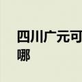 四川广元可提供SKG电烤箱维修服务地址在哪