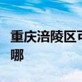 重庆涪陵区可提供德意电烤箱维修服务地址在哪
