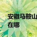 安徽马鞍山可提供SKG电烤箱维修服务地址在哪