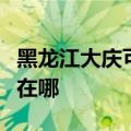 黑龙江大庆可提供荣事达电烤箱维修服务地址在哪