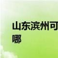 山东滨州可提供SKG电烤箱维修服务地址在哪