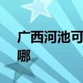广西河池可提供SKG电烤箱维修服务地址在哪