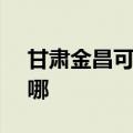 甘肃金昌可提供SKG电烤箱维修服务地址在哪