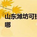 山东潍坊可提供荣事达加湿器维修服务地址在哪