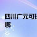 四川广元可提供澳柯玛面包机维修服务地址在哪