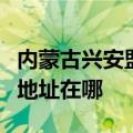 内蒙古兴安盟可提供伊莱克斯面包机维修服务地址在哪