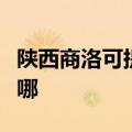 陕西商洛可提供澳柯玛面包机维修服务地址在哪
