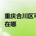 重庆合川区可提供澳柯玛面包机维修服务地址在哪