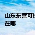 山东东营可提供伊莱克斯面包机维修服务地址在哪