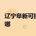 辽宁阜新可提供飞利浦面包机维修服务地址在哪
