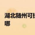 湖北随州可提供艾美特加湿器维修服务地址在哪
