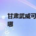 甘肃武威可提供SKG加湿器维修服务地址在哪