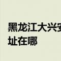 黑龙江大兴安岭可提供新飞加湿器维修服务地址在哪