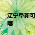 辽宁阜新可提供SKG加湿器维修服务地址在哪