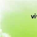 vivo折叠手机（vivo）