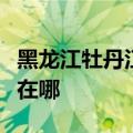 黑龙江牡丹江可提供红心加湿器维修服务地址在哪