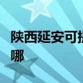 陕西延安可提供每时乐加湿器维修服务地址在哪