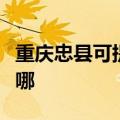 重庆忠县可提供荣事达电风扇维修服务地址在哪
