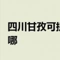 四川甘孜可提供荣事达电风扇维修服务地址在哪