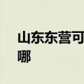 山东东营可提供SKG电风扇维修服务地址在哪