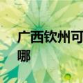 广西钦州可提供SKG电风扇维修服务地址在哪