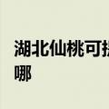 湖北仙桃可提供艾美特电暖器维修服务地址在哪