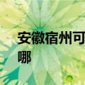 安徽宿州可提供SKG电风扇维修服务地址在哪