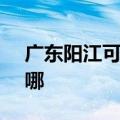 广东阳江可提供SKG电风扇维修服务地址在哪