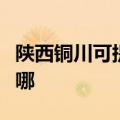 陕西铜川可提供澳柯玛电暖器维修服务地址在哪