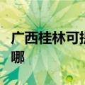 广西桂林可提供奥克斯电暖器维修服务地址在哪