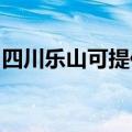 四川乐山可提供赛亿电暖器维修服务地址在哪