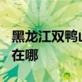 黑龙江双鸭山可提供TCL电暖器维修服务地址在哪