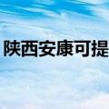 陕西安康可提供TCL电暖器维修服务地址在哪