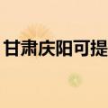 甘肃庆阳可提供TCL电暖器维修服务地址在哪