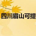 四川眉山可提供TCL电暖器维修服务地址在哪