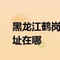 黑龙江鹤岗可提供SKG饮水设备维修服务地址在哪