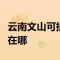 云南文山可提供澳柯玛饮水设备维修服务地址在哪