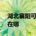 湖北襄阳可提供SKG饮水设备维修服务地址在哪