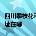四川攀枝花可提供荣事达饮水设备维修服务地址在哪