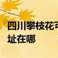 四川攀枝花可提供安之星饮水设备维修服务地址在哪