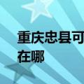 重庆忠县可提供SKG饮水设备维修服务地址在哪