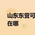 山东东营可提供SKG饮水设备维修服务地址在哪