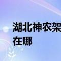湖北神农架可提供SKG榨汁机维修服务地址在哪